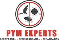 PYM Experts